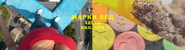 мет Алексин