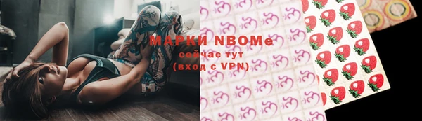 мет Алексин