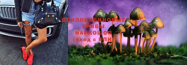 дживик Алзамай
