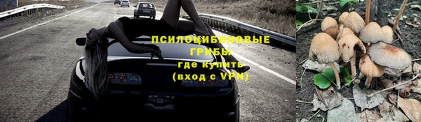 тгк Армянск