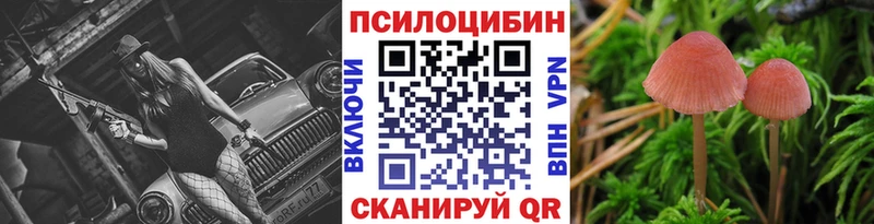 Псилоцибиновые грибы Psilocybe  блэк спрут ТОР  Куса 